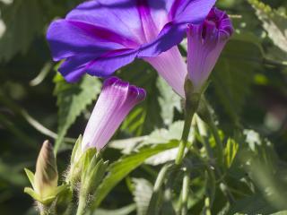 Img.VTax2302.ExN.Img2