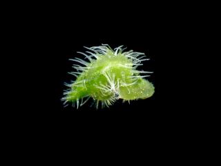 Img.VTax2857.ExN.Img6