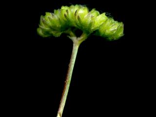 Img.VTax2881.ExN.Img7