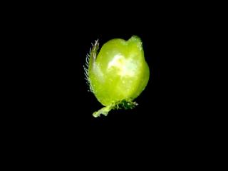 Img.VTax2881.ExN.Img9