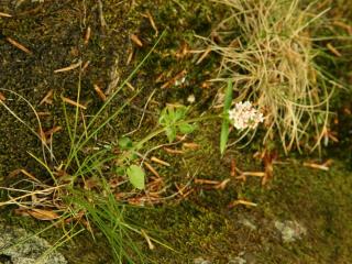 Img.VTax2899.ExN.Img5