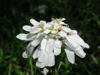 Img.VTax1142.ExN.Img9