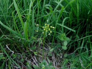 Img.VTax1204.ExN.Img4