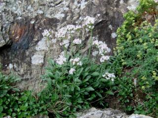 Img.VTax2895.ExN.Img11
