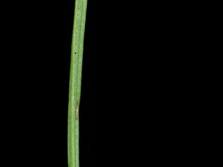Img.VTax3332.ExN.Img15