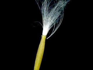 Img.VTax3389.ExN.Img14