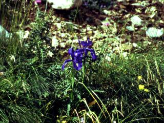 Img.VTax3619.ExN.Img1