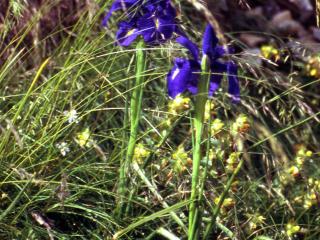 Img.VTax3619.ExN.Img3