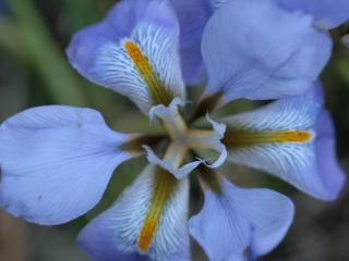 Img.VTax3630.ExN.Img5