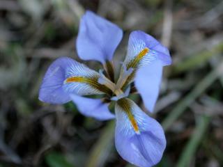 Img.VTax3630.ExN.Img8