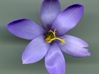 Img.VTax3633.ExN.Img6