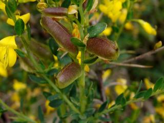 Img.VTax573.ExN.Img10