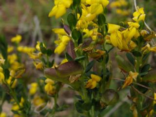 Img.VTax573.ExN.Img11