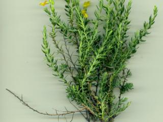 Img.VTax573.ExN.Img12