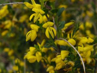 Img.VTax573.ExN.Img3