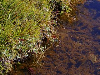 Img.VTax443.ExN.Img5