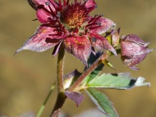 Img.VTax443.ExN.Img6