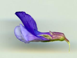 Img.VTax674.ExN.Img7