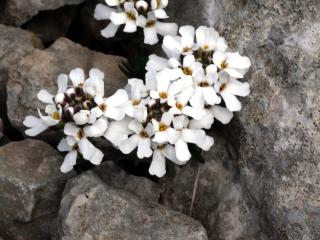 Img.VTax1144.ExN.Img8