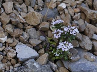 Img.VTax1149.ExN.Img15