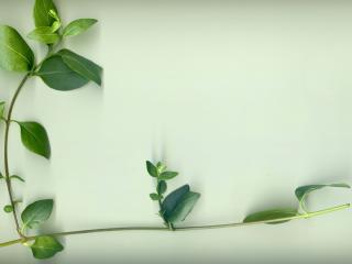 Img.VTax2289.ExN.Img12