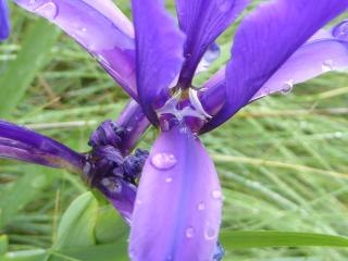 Img.VTax3621.ExN.Img6