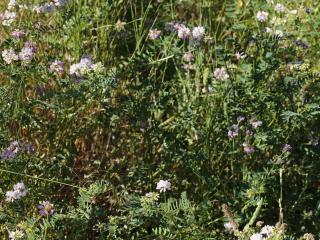 Img.VTax857.ExN.Img12