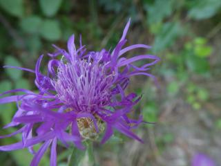 VTax4766.Ex1_.Img1_.jpg