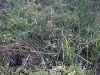 VTax4767.Ex1_.Img3_.JPG