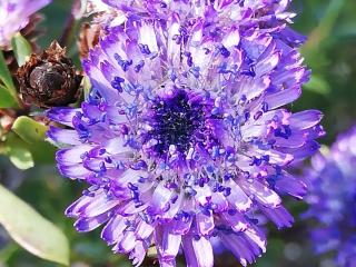 VTax2775.Ex1.Img2