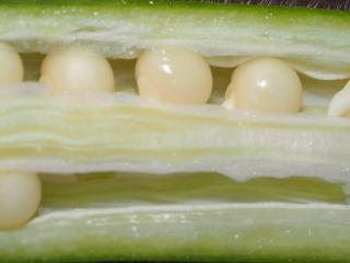 VTax1326.Ex3.Img1