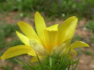 VTax177.Ex1.Img6