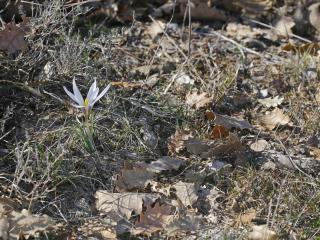 VTax3634.Ex1.Img4