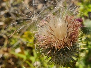 VTax3220.Ex1.Img4