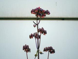 VTax297.ExN.Img17