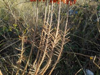 VTax297.ExN.Img44