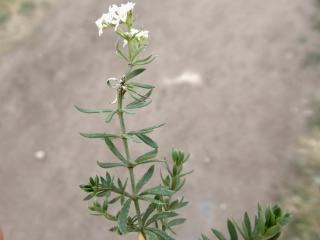VTax2825.Ex1.Img2