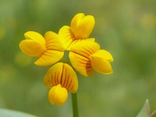 VTax855.Ex1.Img4