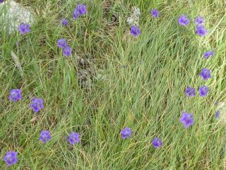 VTax2956.Ex1.Img7