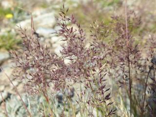 VTax4065.Ex1.Img1