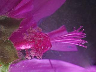 Img.VTax1339.Ex2.Img3