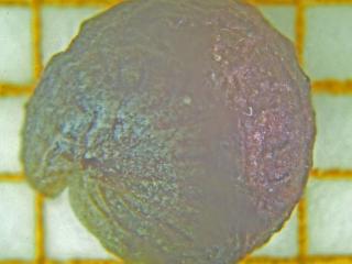 Img.VTax1339.Ex2.Img6