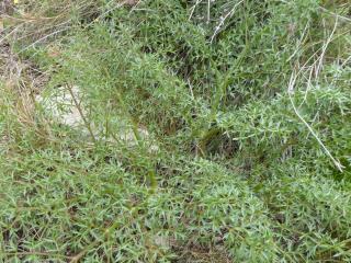 Img.VTax1617.Ex1.Img1