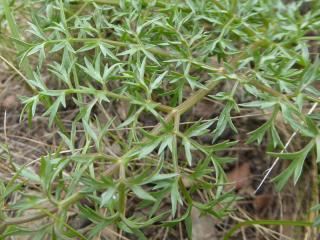 Img.VTax1617.Ex1.Img3