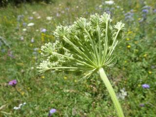 Img.VTax1617.Ex1.Img5