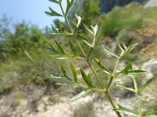 Img.VTax1617.Ex1.Img8