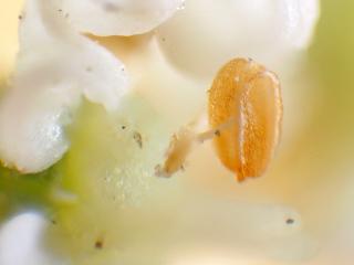 Img.VTax1617.Ex3.Img1