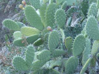 Img.VTax1843.Ex1.Img1