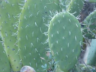 Img.VTax1843.Ex1.Img2