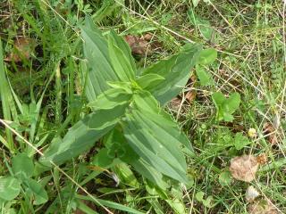 Img.VTax2035.Ex1.Img6
